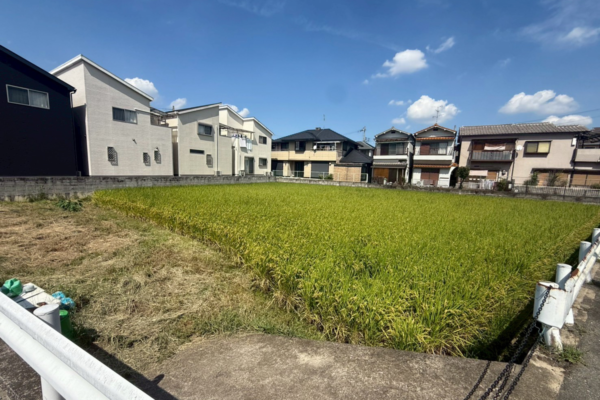 枚方市桜丘町： 田んぼ